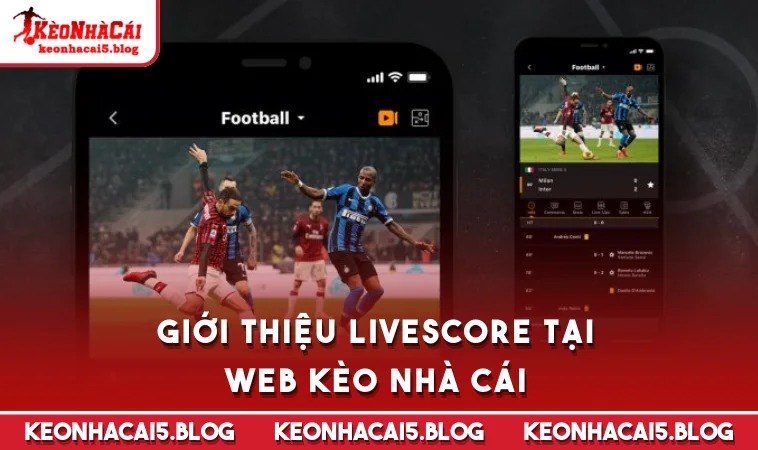 gioi thieu livescore tai web keo nha cai Giới thiệu Livescore tại web Kèo Nhà Cái