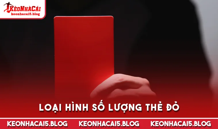 loai hinh so luong the do Loại hình số lượng thẻ đỏ