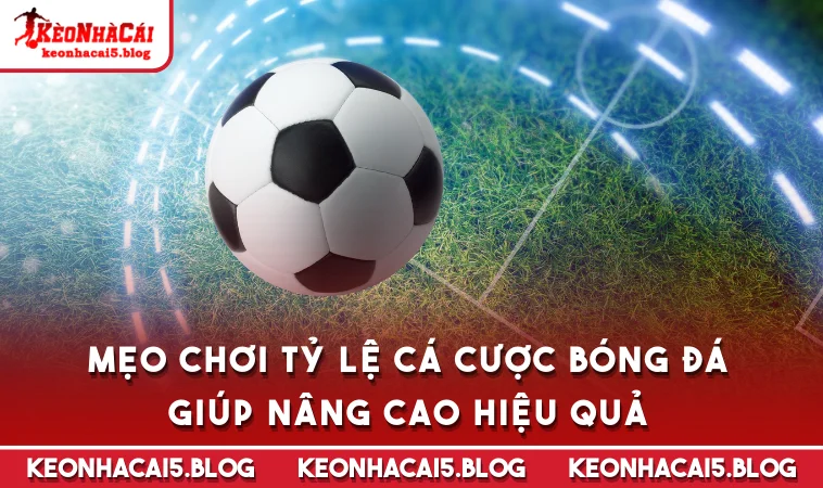 meo choi ty le ca cuoc bong da giup nang cao hieu qua Mẹo chơi tỷ lệ cá cược bóng đá giúp nâng cao hiệu quả